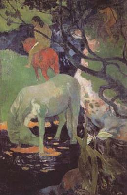 Paul Gauguin The White Horse (mk06) china oil painting image